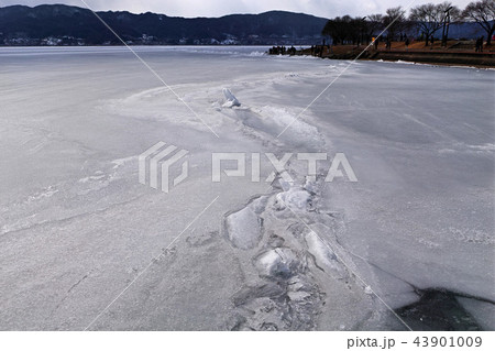 【長野県】御神渡り・おみわたり 諏訪湖 （赤砂崎公園グランド付近） 2018 43901009