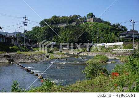 岡山県津山市の桜の名所「鶴山公園(津山城趾)」:公園を宮川沿い(北東)から見る 岡山県津山市の桜の名所「鶴山公園(津山城趾)」:公園を宮川沿い(北東)から見る 43901061