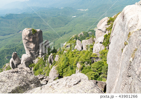 瑞牆山頂から眺める大ヤスリ岩 43901266