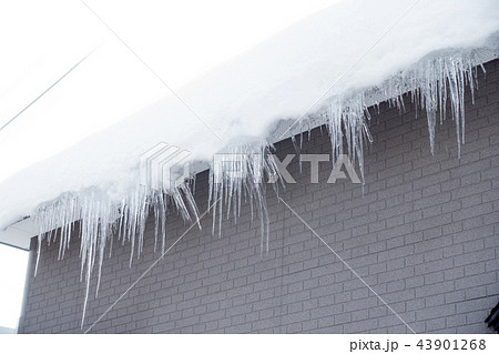 民家住宅の屋根の軒先から垂れ下がる氷柱つらら雪国の日常風景 民家住宅の屋根の軒先から垂れ下がる氷柱つらら雪国の日常風景 43901268