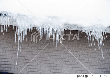 民家住宅の屋根の軒先から垂れ下がる氷柱つらら雪国の日常風景 民家住宅の屋根の軒先から垂れ下がる氷柱つらら雪国の日常風景 43901269