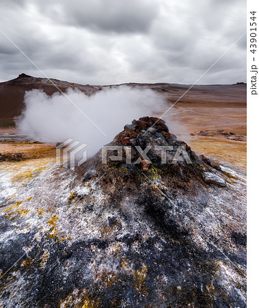 Smoking fumaroles on Hverarond valley Smoking fumaroles on Hverarond valley 43901544