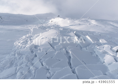 Snow avalanche in winter mountains 43901555