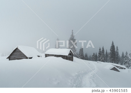 Fantastic landscape with snowy house Fantastic landscape with snowy house 43901585