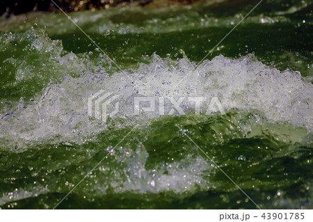 渓流の飛沫 43901785