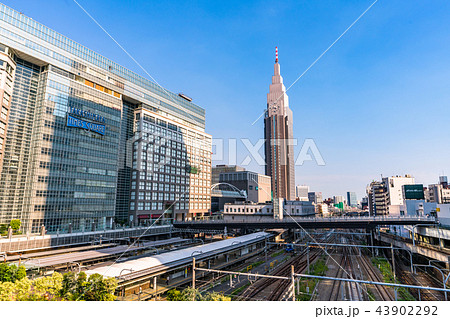 《東京都》新宿・都市風景 43902292