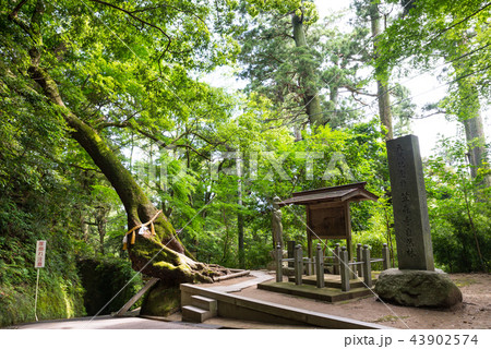 笠森寺自然林 （千葉県長生郡長南町） 2018年6月 43902574