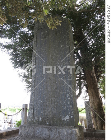 つくばみらい市の専称寺にある探検家・間宮林蔵の顕彰碑(間宮先生埋骨之處) つくばみらい市の専称寺にある探検家・間宮林蔵の顕彰碑(間宮先生埋骨之處) 43902587