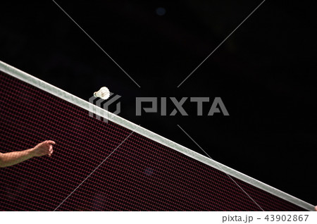 バドミントン 43902867