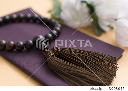 静物写真 43903055