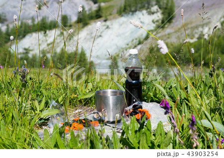 Lunch in the fresh air in the mountains. Lunch in the fresh air in the mountains. 43903254