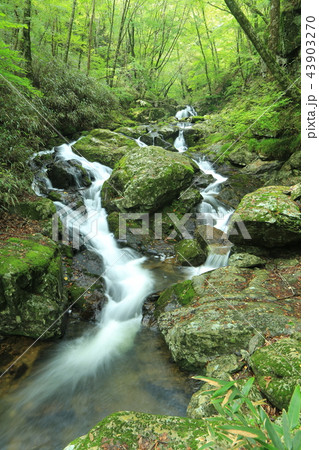 猿ケ城渓谷 千猿の滝 猿ケ城渓谷 千猿の滝 43903270