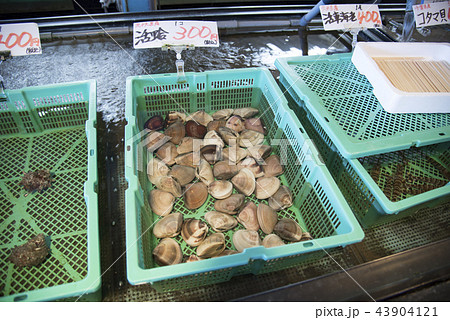【はまぐり 浜焼き】 【はまぐり 浜焼き】 43904121