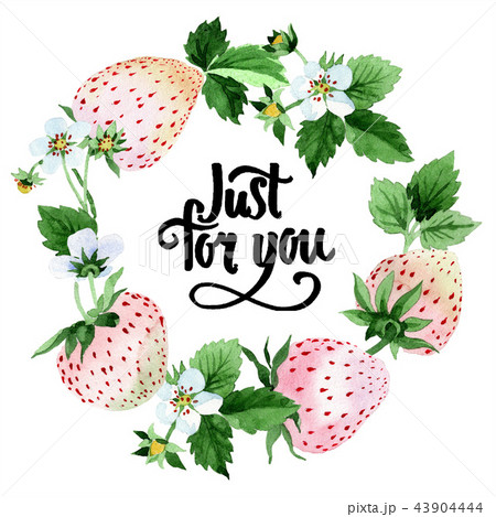 White strawberry fruit in a watercolor style. Frame border ornament square. White strawberry fruit in a watercolor style. Frame border ornament square. 43904444