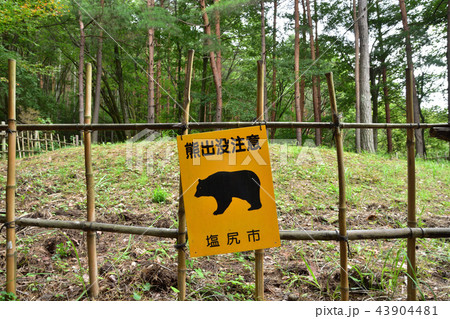 熊出没注意の看板 熊出没注意の看板 43904481