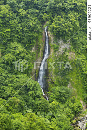 九重“夢”大吊橋から見た雌滝 九重“夢”大吊橋から見た雌滝 43906221