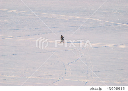 Fisherman on a bicycle on the ice of a frozen lake Fisherman on a bicycle on the ice of a frozen lake 43906916