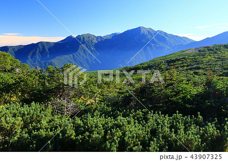 南アルプス光岳　 山頂からの風景　聖岳、兎岳遠景 43907325