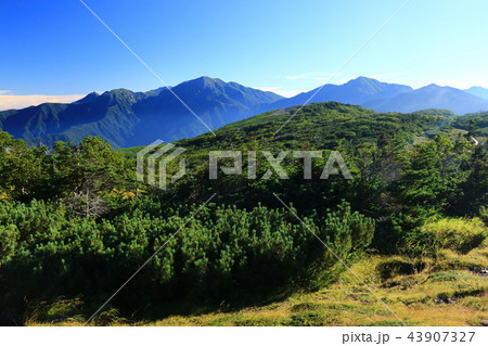 南アルプス光岳　 山頂からの風景　聖岳、兎岳遠景 43907327