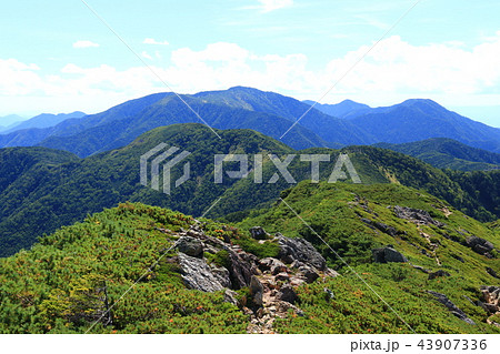 南アルプス光岳（てかりだけ）への道　仁田岳易老岳縦走路越しの光岳遠景 43907336