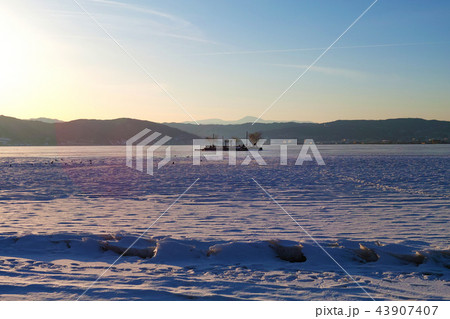 【長野県】初島「御神渡り」出現時 結氷した諏訪湖の風景 43907407