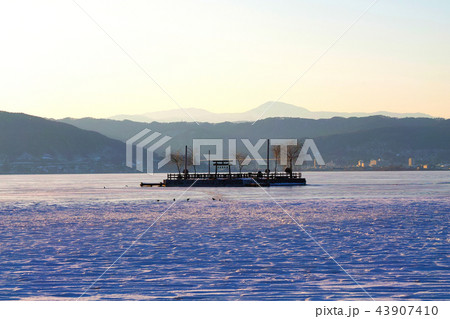 【長野県】初島「御神渡り」出現時 結氷した諏訪湖の風景 【長野県】初島「御神渡り」出現時 結氷した諏訪湖の風景 43907410