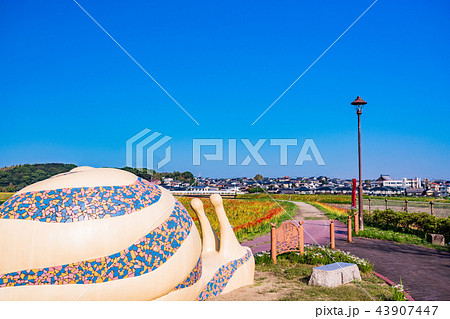 （愛知県）矢勝川・ででむし広場 43907447