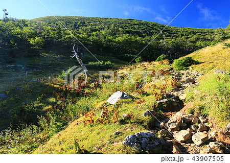 南アルプス光岳　山頂への道　光岳小屋直下の風景　沢沿いの道 43907505