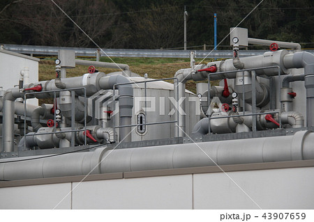 のとじま水族館 43907659