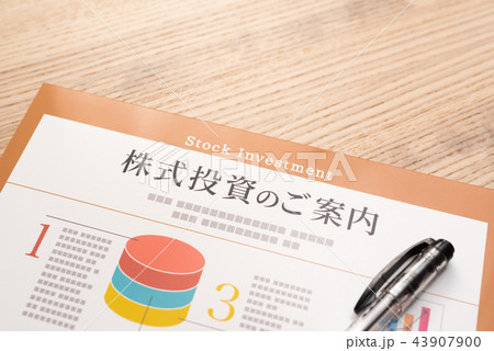 パンフ パンフ 43907900