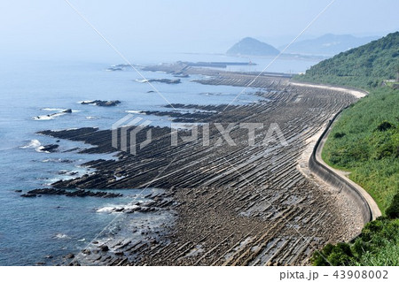 初夏の日南海岸 43908002