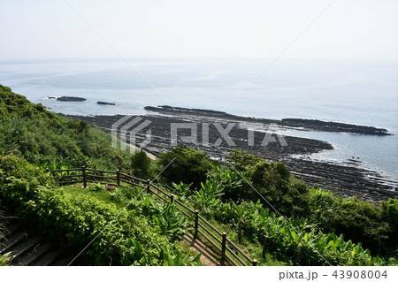 初夏の日南海岸 43908004