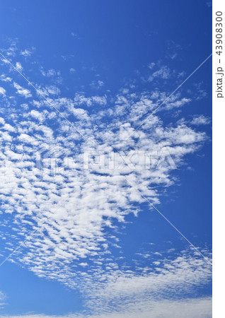 自然風景　秋の雲 43908300