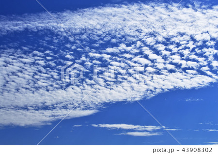 自然風景 秋の雲 自然風景 秋の雲 43908302
