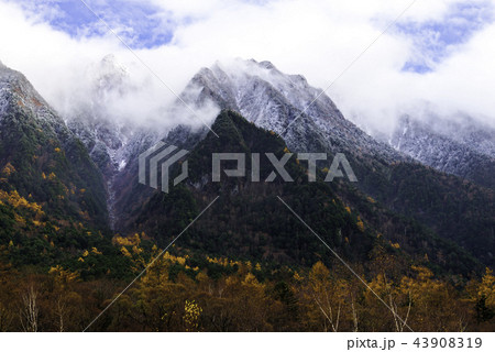 雪と紅葉の風景 雪と紅葉の風景 43908319