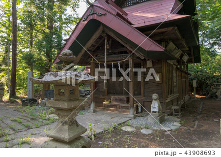 群馬県 県指定重要文化財 子持神社 本殿 群馬県 県指定重要文化財 子持神社 本殿 43908693