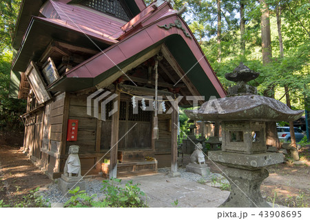 群馬県 県指定重要文化財 子持神社 本殿 群馬県 県指定重要文化財 子持神社 本殿 43908695