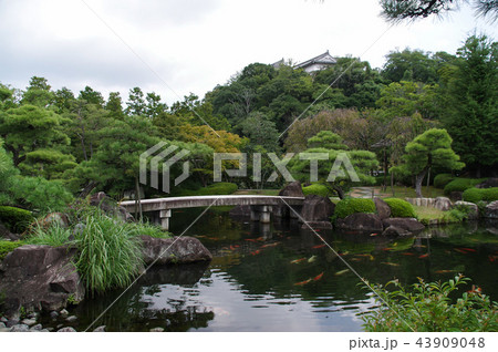 好古園・御屋敷の庭 43909048