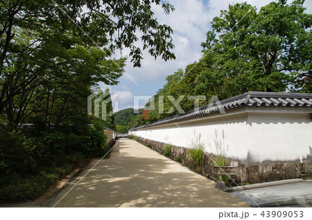 好古園・築地塀 好古園・築地塀 43909053