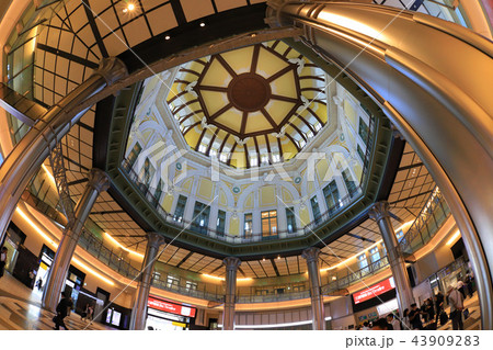 東京都千代田区丸の内口駅舎の南ドーム天井 東京都千代田区丸の内口駅舎の南ドーム天井 43909283