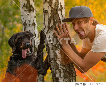 Portrait of man and dog posing together under birch trees. 43909738