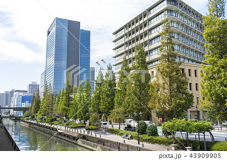 東京　芝浦　運河沿いの風景 43909905