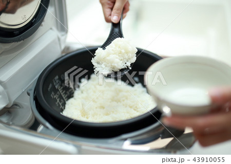 炊飯器 (キッチン 台所 LDK 炊飯 自炊 家事 生活 ごはん ライス 電子ジャー 白米 白飯) 43910055