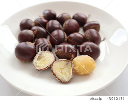 秋の味覚 おいしい茹で栗 秋の味覚 おいしい茹で栗 43910131