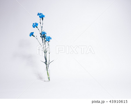 一輪挿し 花のある暮らし 花 生花 造花 インテリア Flower フラワーの写真素材