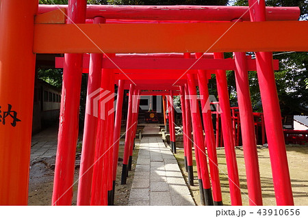 鳥居 鳥居 43910656
