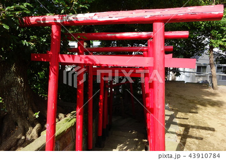 阿那稲荷神社 阿那稲荷神社 43910784