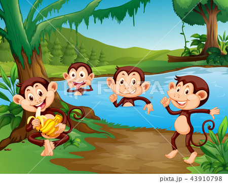 Monkey playing at the lake Monkey playing at the lake 43910798