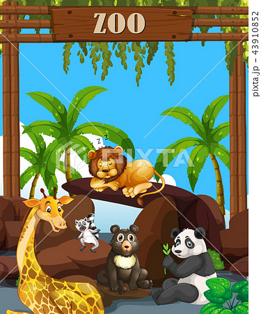 Wild animals at the zoo 43910852