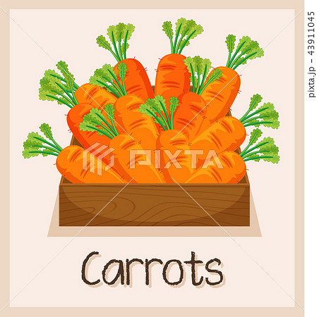 Carrot in the wooden box 43911045
